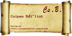 Csipes Bálint névjegykártya